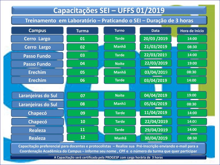 Capacitações SEI 01 2019